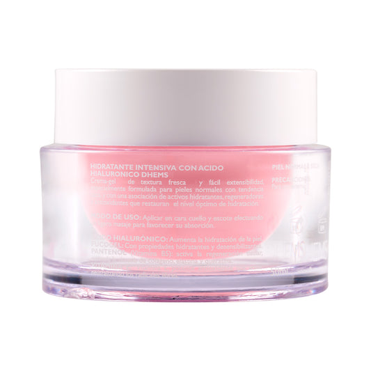 DHEMS HIDRATANTE INTENSA CON AH