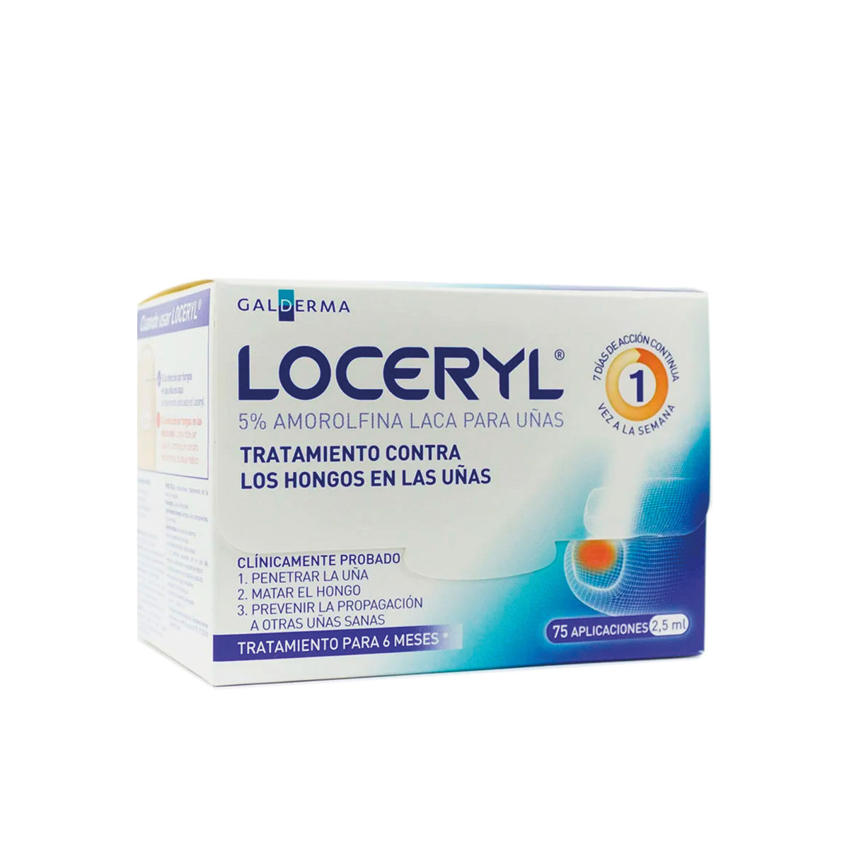 LOCERYL LACA AMORFINA