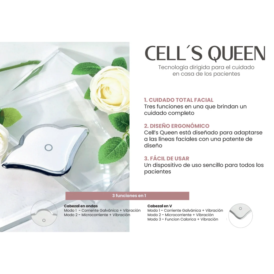 CELLS QUEEN