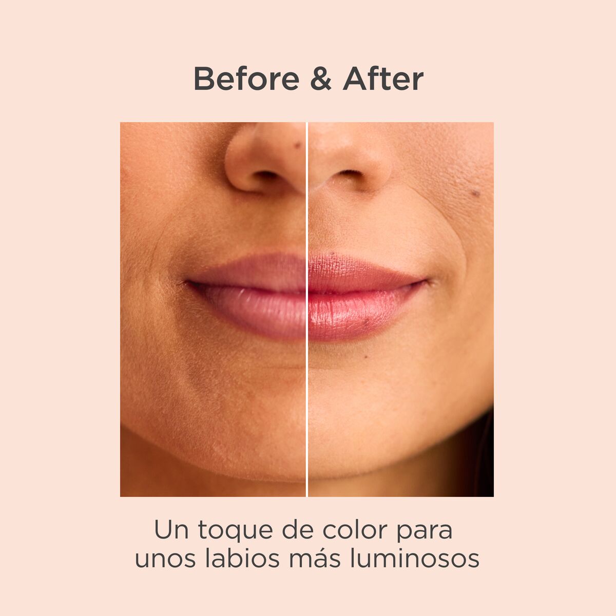 ISDIN REPARADOR LABIAL AC GRANATE